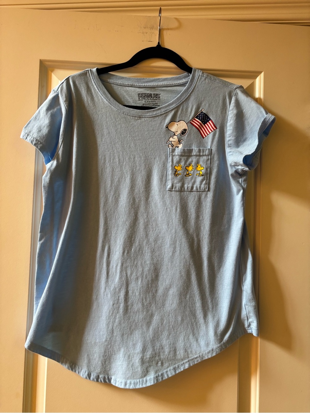 Peanuts Light Blue Snoopy & Woodstock Pocket Tee with Flag Detail